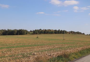 Tocht Te voet Radonín - Lesní naučná stezka - Photo