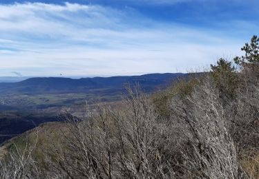 Trail Walking Beaufort-sur-Gervanne - Beaufort tour du merly  - Photo