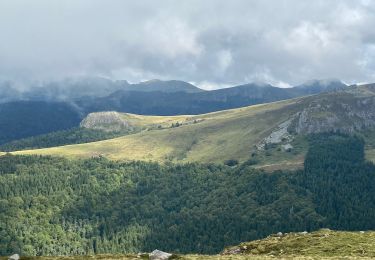 Tocht Stappen Saint-Projet-de-Salers - Col de Legal Cabrespine  - Photo