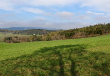 Randonnée A pied Pasečnice - NS V Zelenovském údolí - Photo