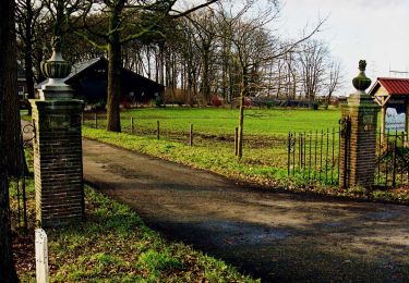 Trail On foot Zwolle - WNW IJsseldelta - Zandhove -rode route - Photo