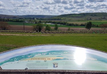Excursión Senderismo Crouttes-sur-Marne - Crouttes-sur Marne du 20/05/2021 - Photo