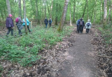 Trail Walking Montigny-sur-Loing - sorques-12 mai 2023  - Photo