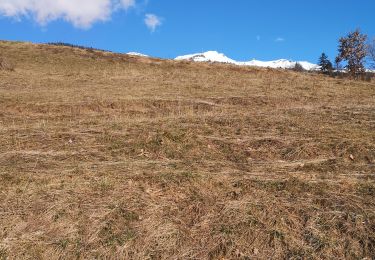 Trail Walking Arbaz - saxonne - Photo