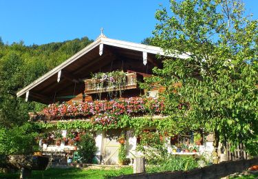 Tour Zu Fuß Unterwössen - Wanderweg 52 - Unterwössen - Kaltenbachtal - Jochbergalm - Photo