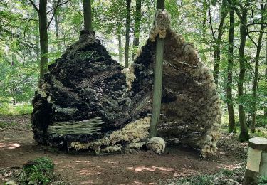 Tocht Stappen Hamois - Sentiers d'Art - Boucle 5 : Assesse - Photo