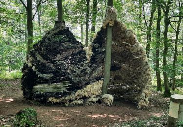 Randonnée Marche Hamois - Sentiers d'Art - Boucle 5 : Assesse - Photo