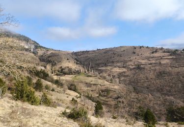 Tocht Stappen Ispagnac - Salanson /Rocher de la Table /Montmirat  - Photo