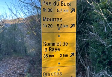 Trail sport La Baume-Cornillane - La Baume Cornillane La Raye  - Photo