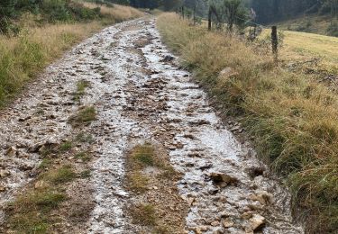 Tocht Stappen Deux-Verges - Le puy de la tuile  - Photo