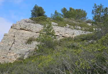 Trail Walking Roquefort-la-Bédoule - Roquefort la Bédoule - Photo