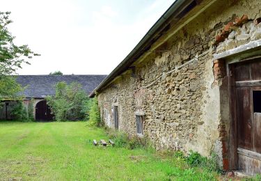 Tour Zu Fuß Pfarrkirchen im Mühlkreis - Traumblickrunde - Photo