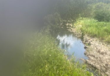 Trail Trail Petit-Bourg - IRA - Photo