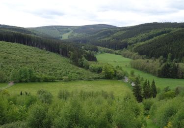 Randonnée A pied Brilon - Hessenweg 6, Abschnitt Brilon - Willingen - Photo