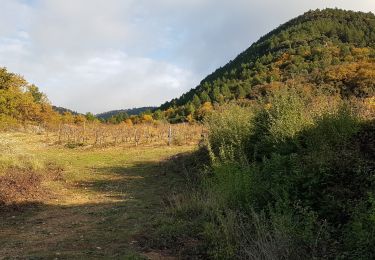 Tour Nordic Walking Soubès - Camin Farrat - Photo