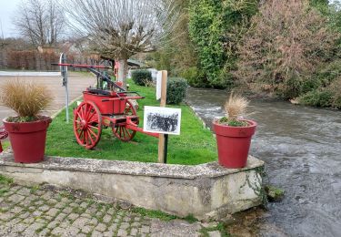 Tour Rennrad Paron - 163 S80 Villeneuve sur Yonne-03 - Photo