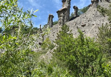 Trail sport Théus - Mont colombes - Photo