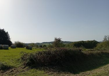 Tour Wandern Érezée - le trou du loup - Photo