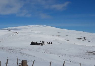 Tour Wandern Pailherols - rando sentier des  gentianes - Photo