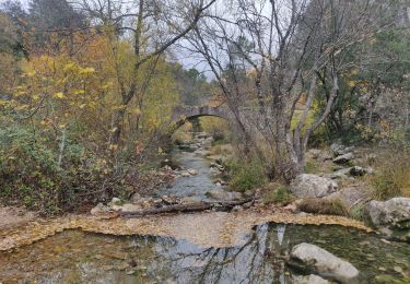 Tocht Stappen Tourves - Le Caramy - Photo