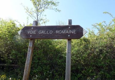 Tocht Stappen Bassens - Boucle des Monts-2021-04-20 - Photo