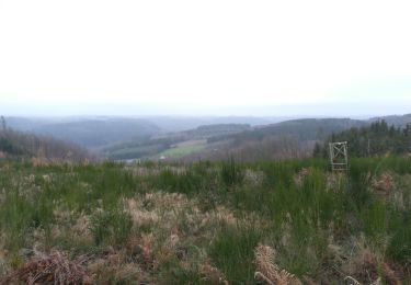 Tour Wandern La Roche-en-Ardenne - Maboge  - Photo