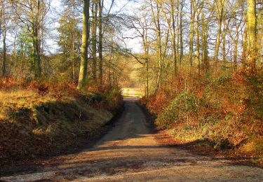 Randonnée Marche Vieux-Moulin - en forêt de Compiègne_25_les Tournantes du Mont Saint-Pierre - Photo