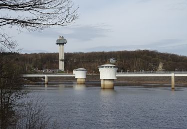 Tocht Te voet Baelen - Dicke eik - Pierreuse He en Brand - Photo