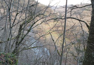 Tour Mountainbike Neuf-Église - St Gervais - Chateauneuf- Ayat (et ca pique...) - Photo