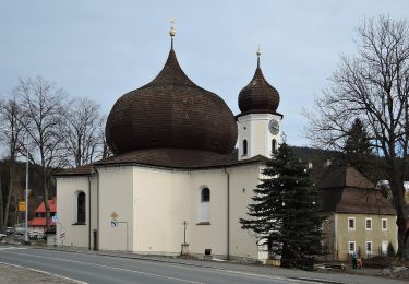 Tour Zu Fuß Markt Eisenstein - CZ-3631 - Photo