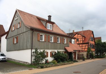 Excursión A pie Weikersheim - Rundwanderweg Schäftersheim - Photo