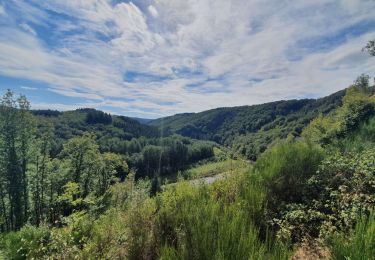 Tocht Stappen Bouillon - rando rochehaut 8/09/2020 - Photo