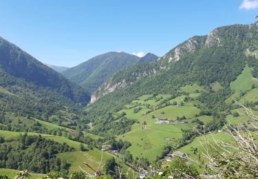 Randonnée Marche Lourdios-Ichère - Circuit les fougeraies lourdios-Ichère - Photo