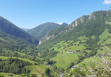 Excursión Senderismo Lourdios-Ichère - Circuit les fougeraies lourdios-Ichère - Photo