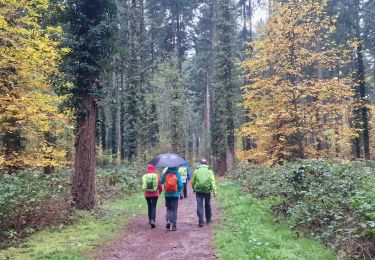 Tour Wandern Champcueil - Boucle Champcueil - Photo