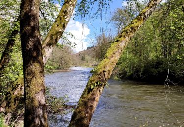 Randonnée Marche Houyet - Promenade de la Lesse (8,8 km)  - Photo