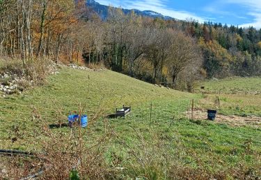 Trail Walking La Sure en Chartreuse - Grand Raz Rousdeau - Photo