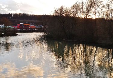 Trail On foot Esslingen am Neckar - Berkheim (Freyaeiche) - Köngen - Photo