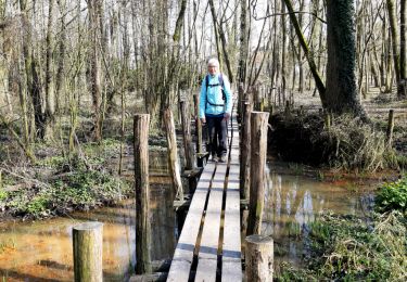 Randonnée A pied Dilbeek - Stationswandeling Dilbeek - Ternat - Photo