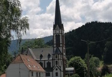 Trail Walking Sondernach - Sondernach est 2023  - Photo