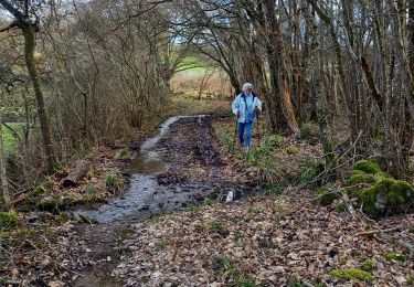 Trail Walking Saint-Huruge - Mamou cross the hill - Photo