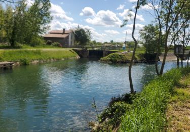 Tocht Stappen Coulon - les marais de Coulon - Photo