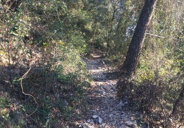 Tour Wandern Le Broc - L esteron  AM. 21/02/2019 - Photo