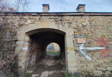 Excursión A pie Olomouc - zelený místní okruh Svatý kopeček - Photo