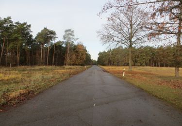 Randonnée A pied Brüggen - NSG Brachter Wald Wanderweg Rot - Photo