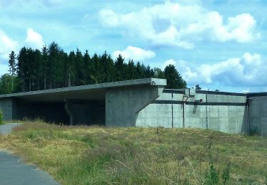 Tour Zu Fuß Bernkastel-Kues - Moselsteig Seitensprung Bernkasteler Bärensteig - Photo