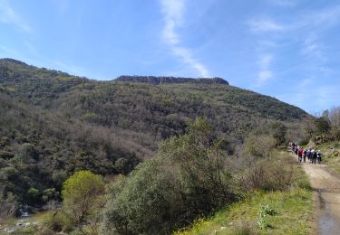 Trail Walking Callas - callas  le pont d'endre - Photo