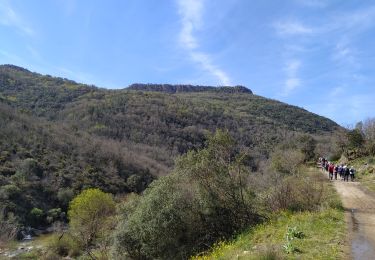 Excursión Senderismo Callas - callas  le pont d'endre - Photo