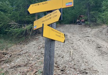 Trail Walking Molines-en-Queyras - Molines jusqu’à Ville Vieille - Photo