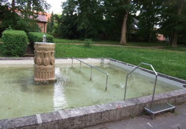 Tour Zu Fuß Neustadt an der Aisch - Naturlehrpfad Hasengründlein - Multernschlucht - Photo